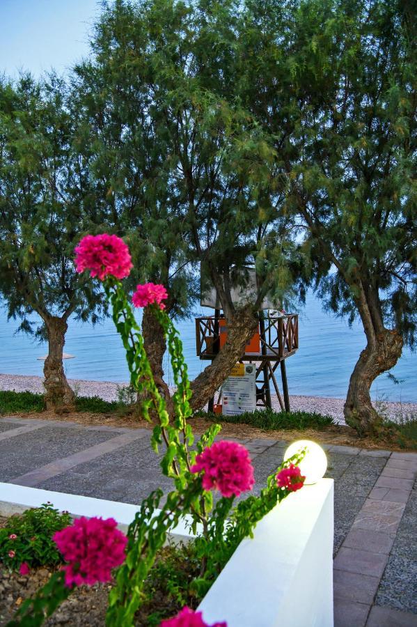 Aliki Studios Paralia Agias Foteinis Exteriér fotografie