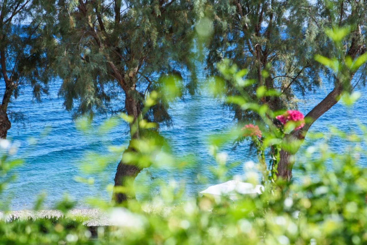Aliki Studios Paralia Agias Foteinis Exteriér fotografie